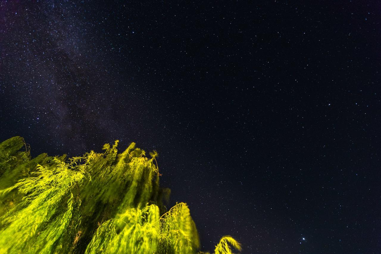 Dioni Hotel Skyros Exteriör bild